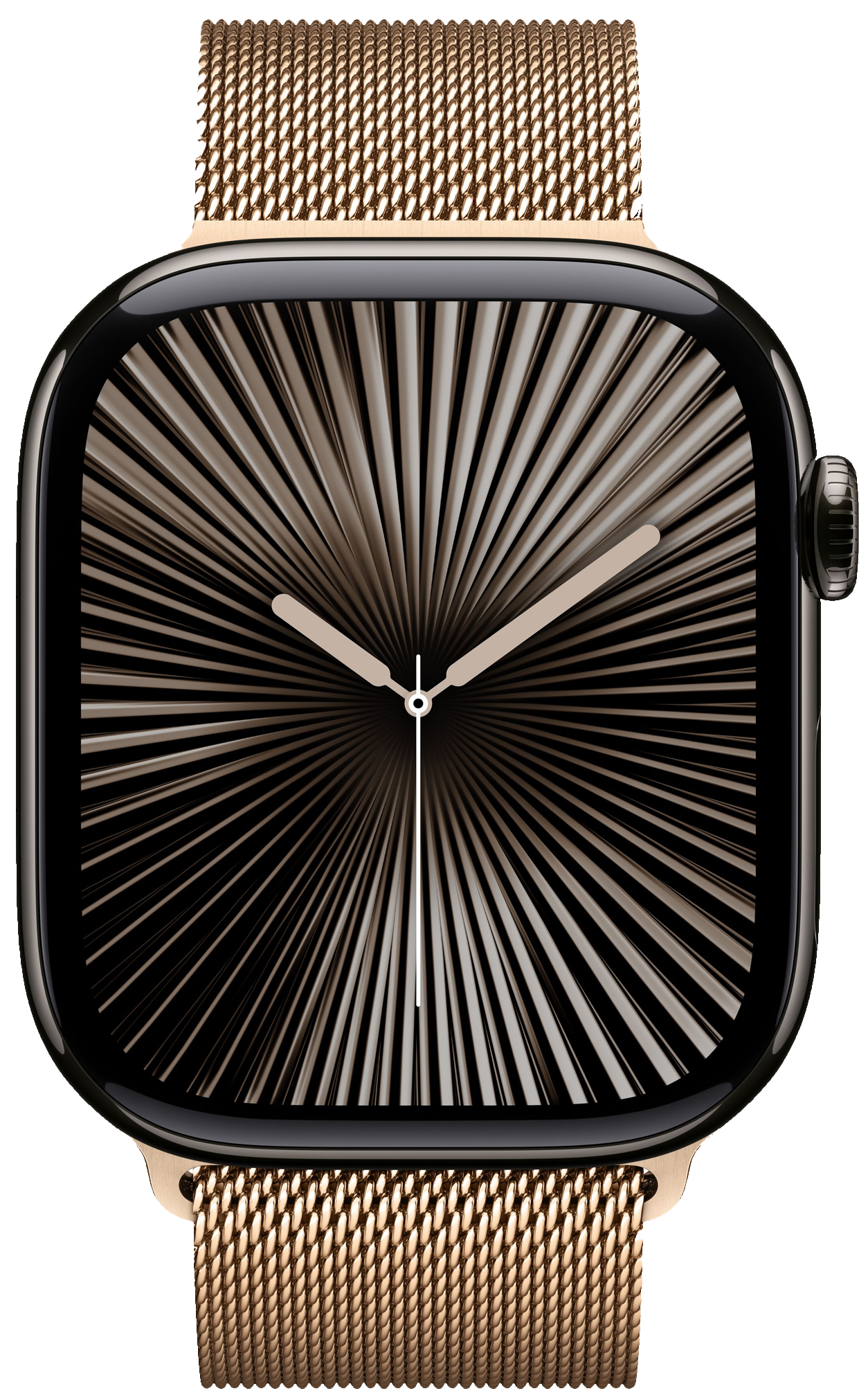 Apple Watch Series 10
Stainless Steel
