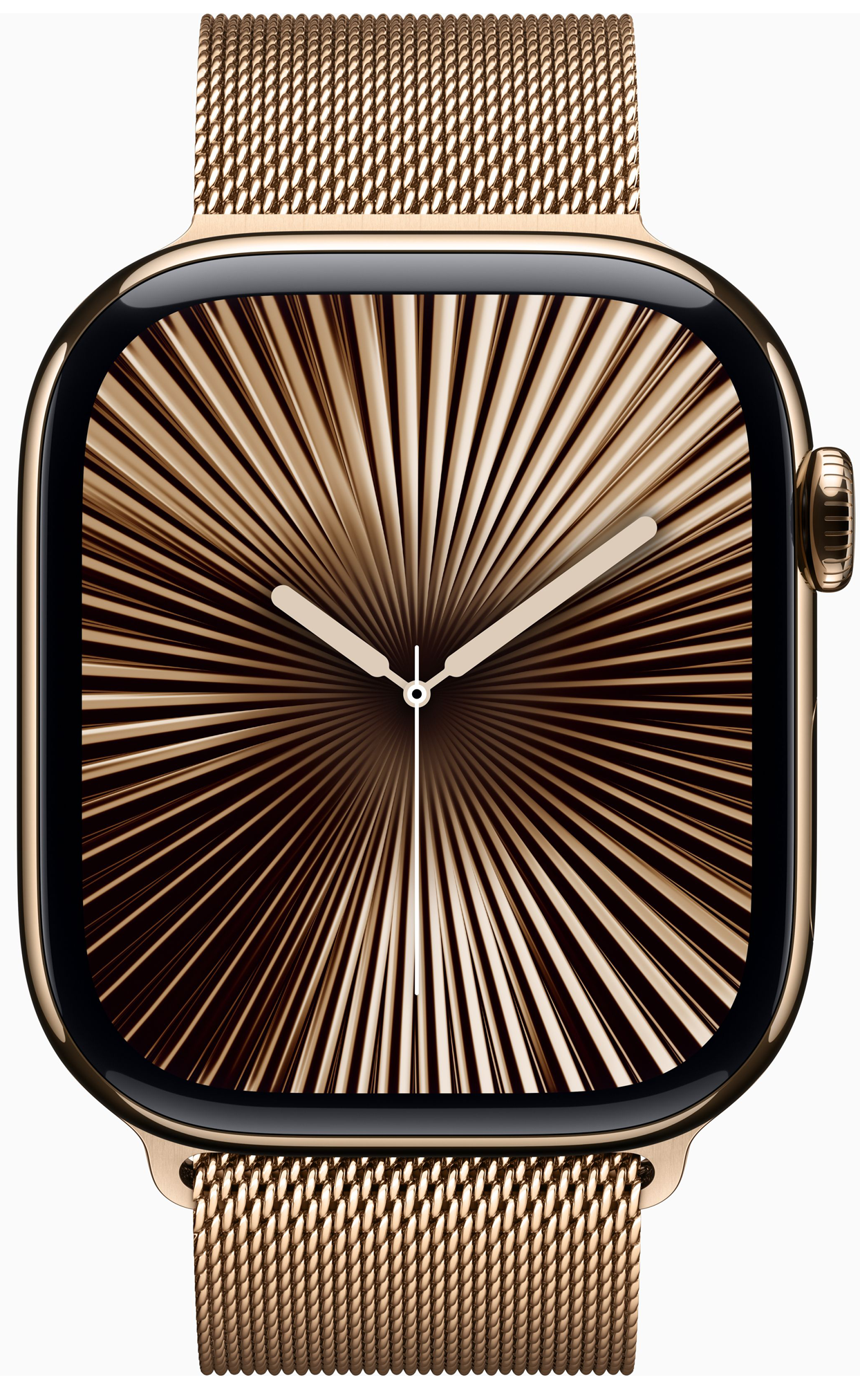 Apple Watch Series 10
Stainless Steel